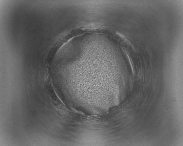 X0000072531350200607290213