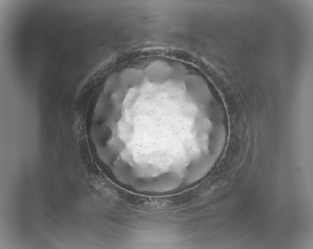 X0000072531351200607290213