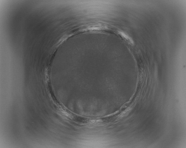 X0000072531353200607290213