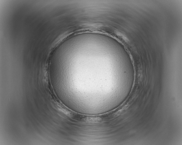 X0000072531354200607290213