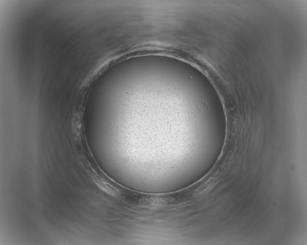 X0000072531355200607290213