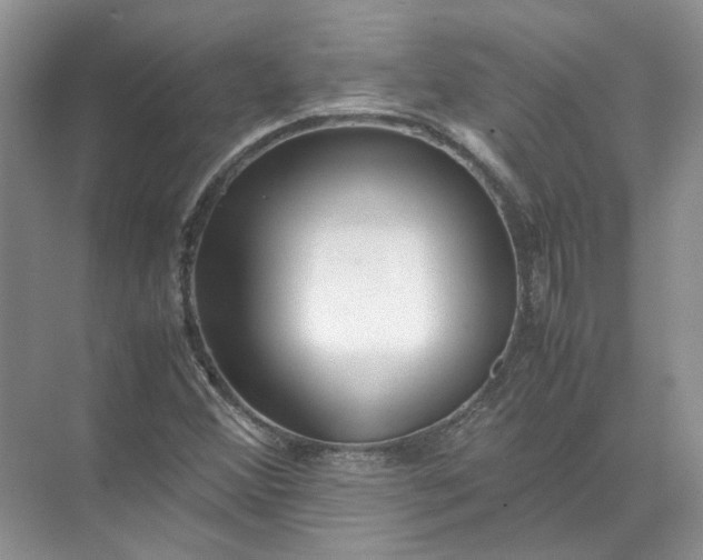 X0000072531356200607290213