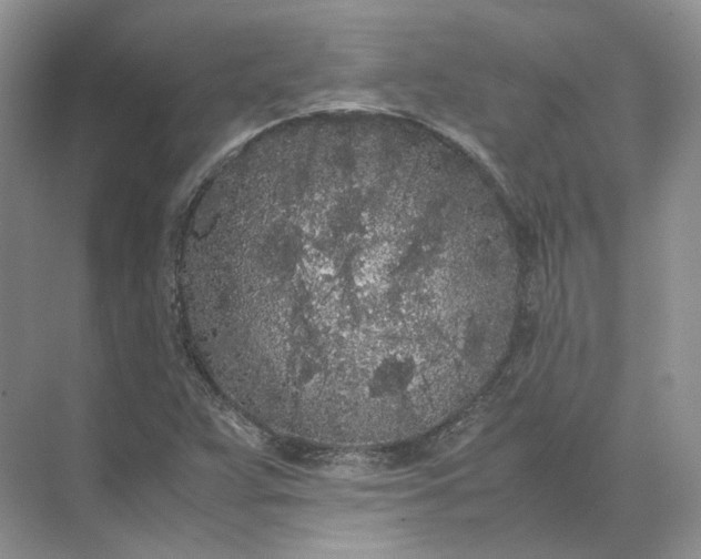 X0000072531359200607290213