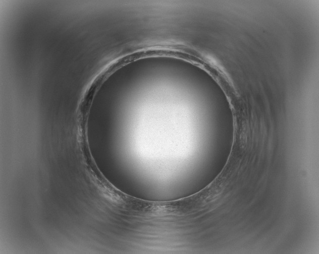 X0000072531360200607290213