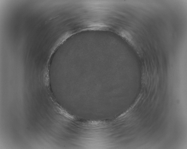 X0000072531362200607290213