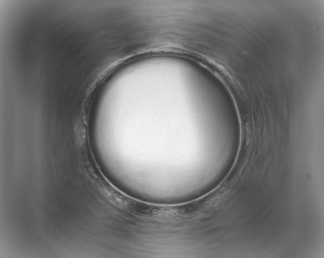 X0000072531363200607290213