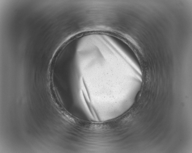 X0000072531364200607290213