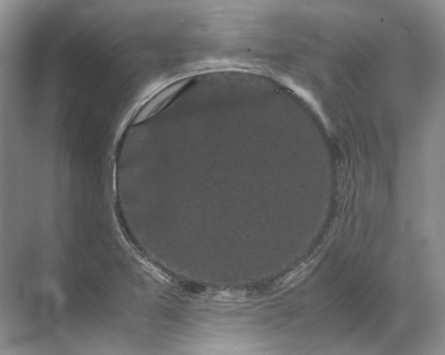 X0000072531365200607290213