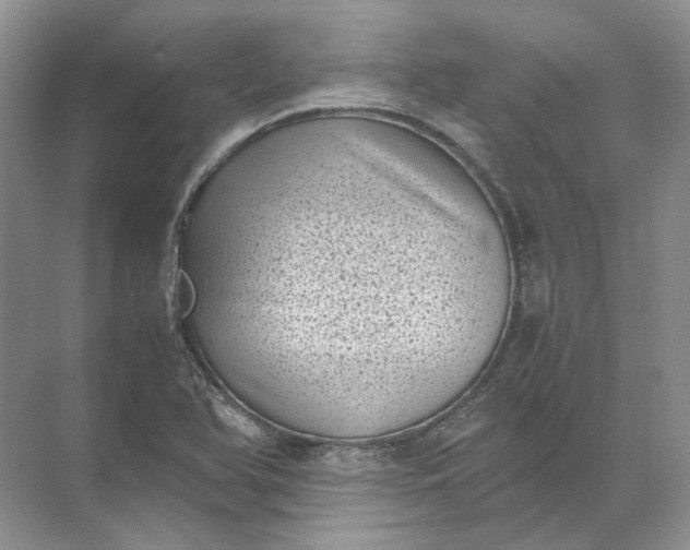 X0000072531366200607290213