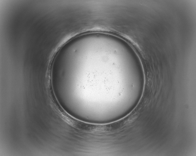 X0000072531367200607290213