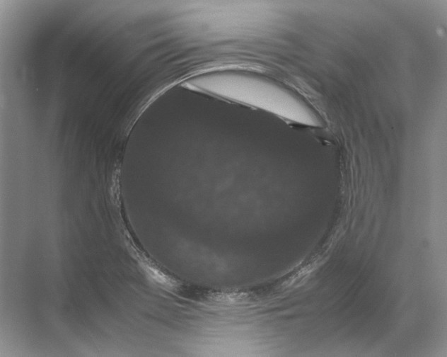 X0000072531369200607290213