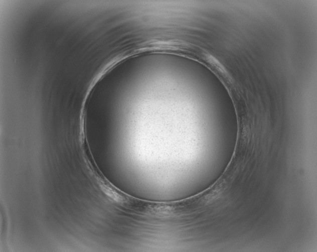 X0000072531370200607290213