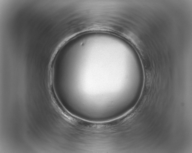 X0000072531371200607290213