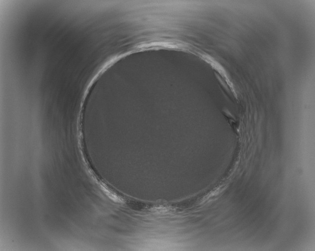 X0000072531373200607290213