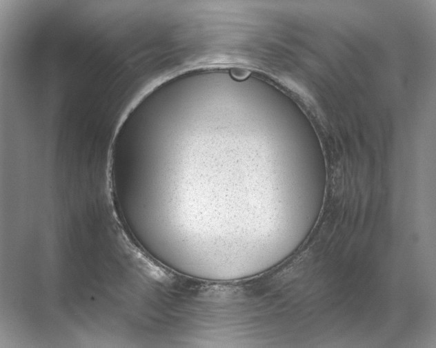 X0000072531374200607290213