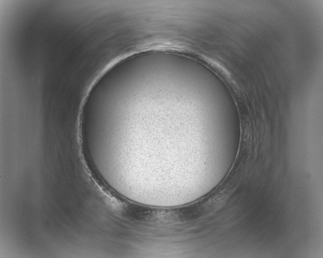 X0000072531375200607290213