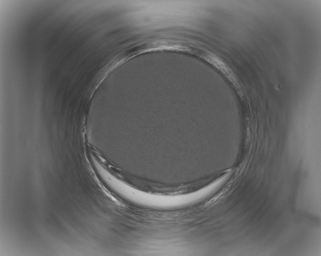 X0000072531377200607290213