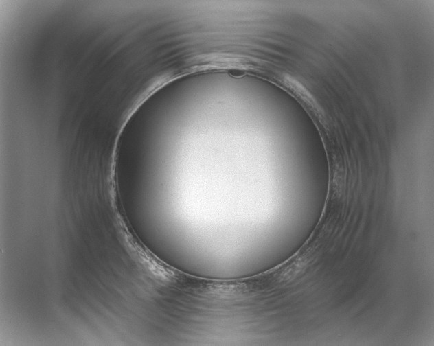 X0000072531378200607290213