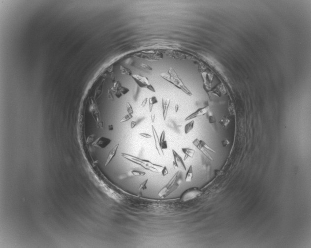 X0000072531379200607290213