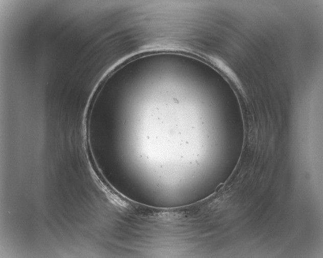 X0000072531380200607290213