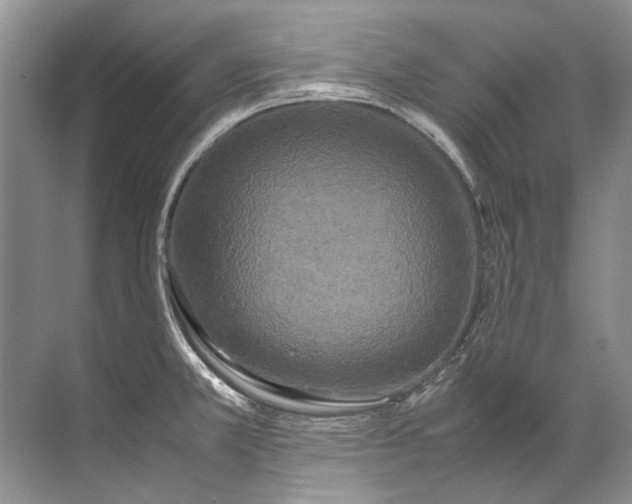 X0000072531381200607290213