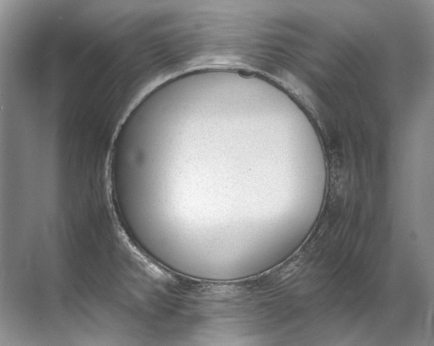 X0000072531382200607290213