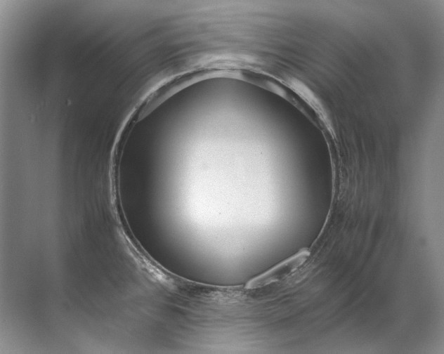 X0000072531384200607290213