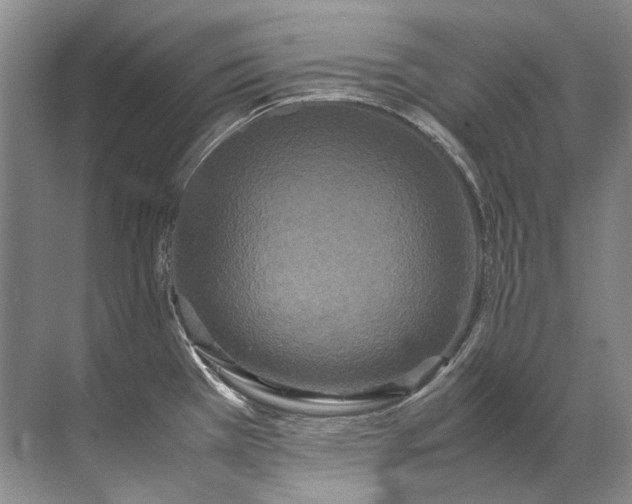 X0000072531385200607290213