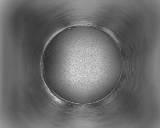 X0000072531387200607290213