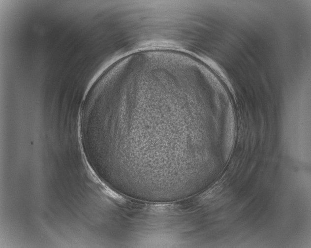 X0000072531390200607290213