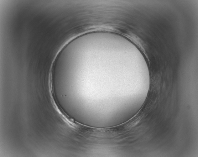 X0000072531391200607290213