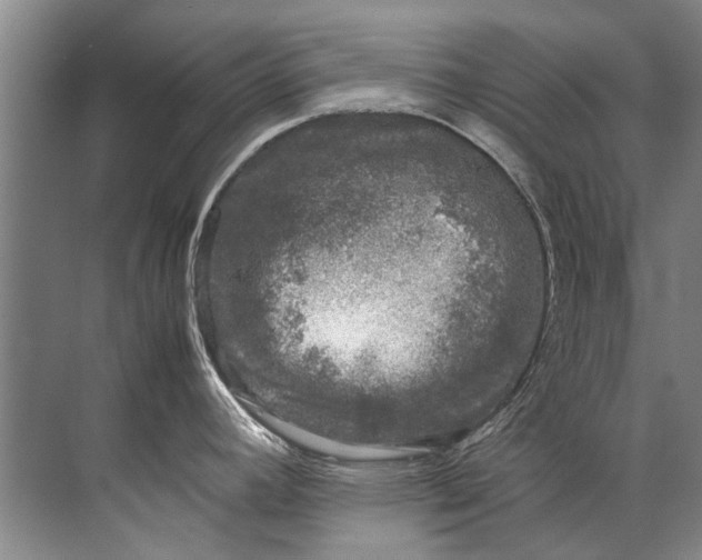 X0000072531392200607290213