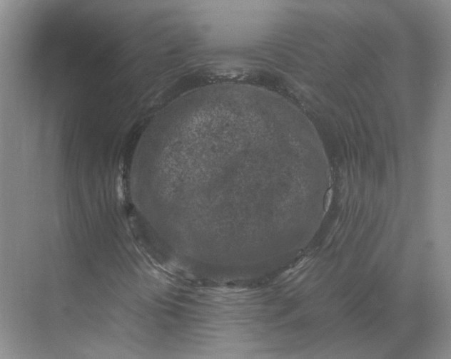 X0000072531394200607290212