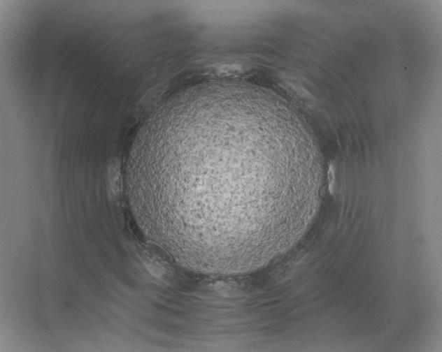 X0000072531395200607290212