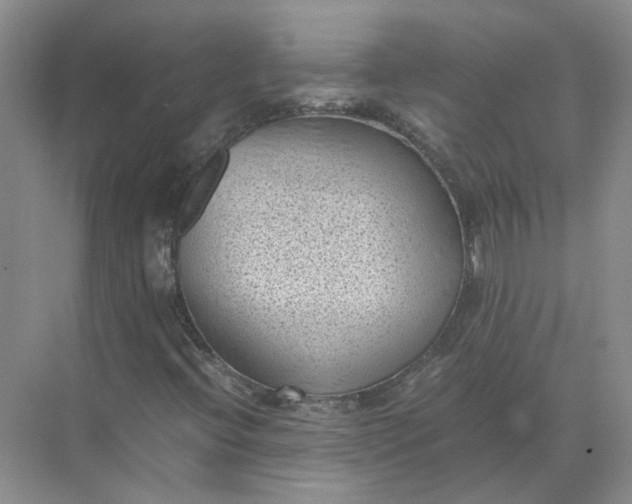 X0000072531396200607290212