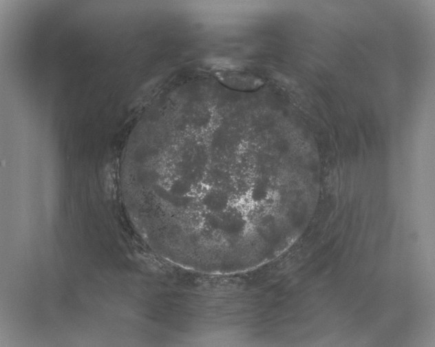 X0000072531397200607290212