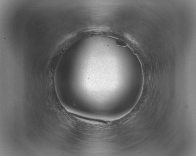 X0000072531398200607290212