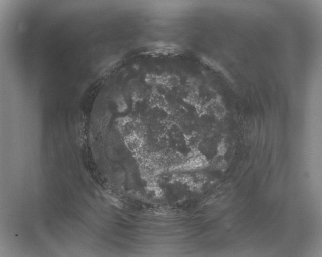 X0000072531399200607290212