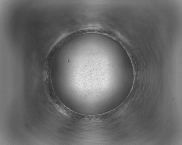 X0000072531400200607290212