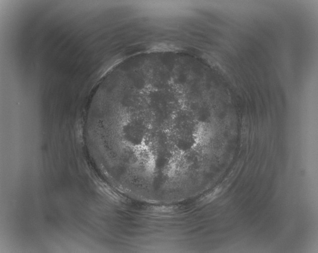 X0000072531401200607290212