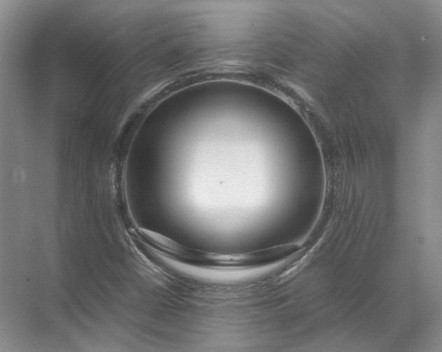 X0000072531402200607290212