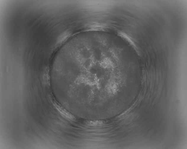 X0000072531403200607290212