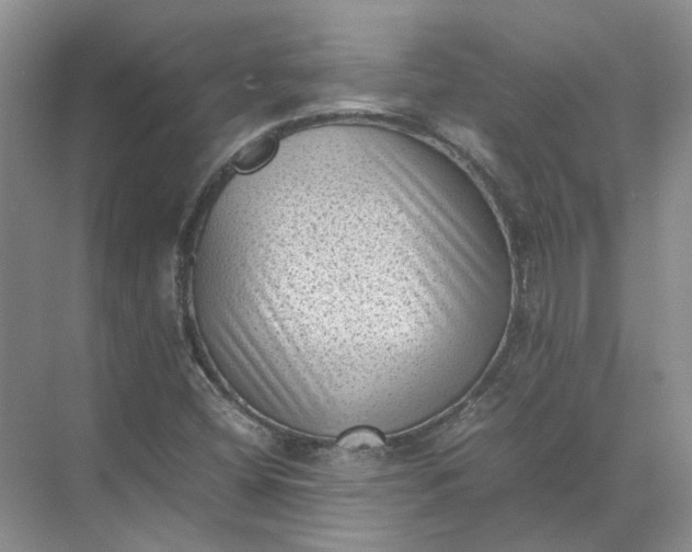 X0000072531404200607290212