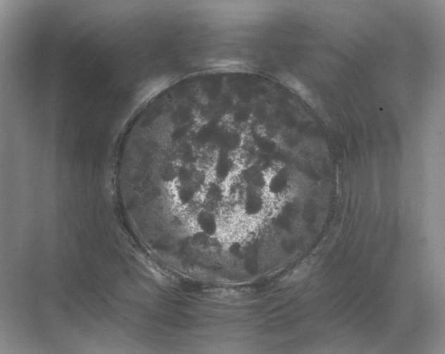 X0000072531405200607290212