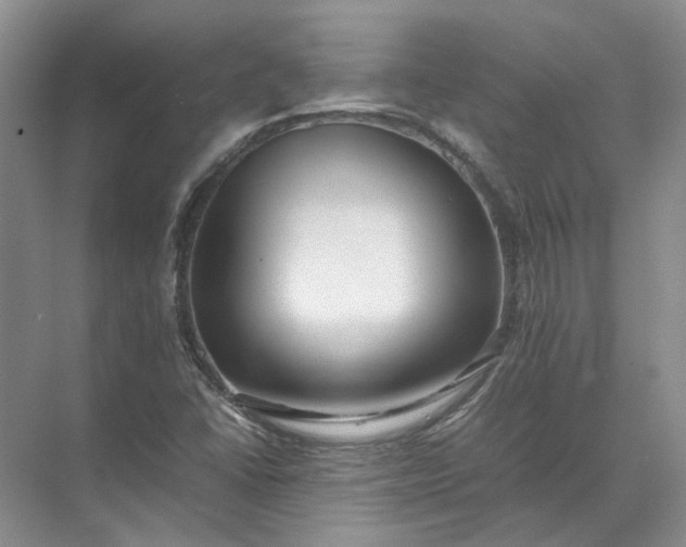 X0000072531406200607290212