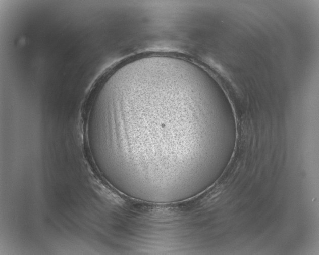 X0000072531408200607290212