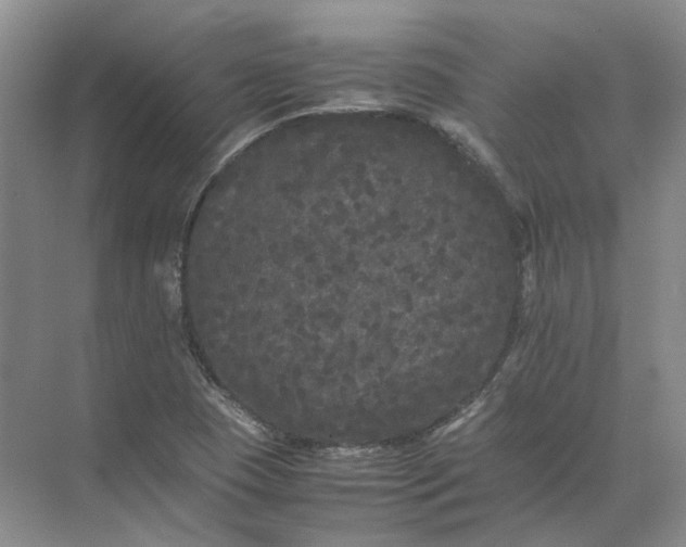 X0000072531409200607290212