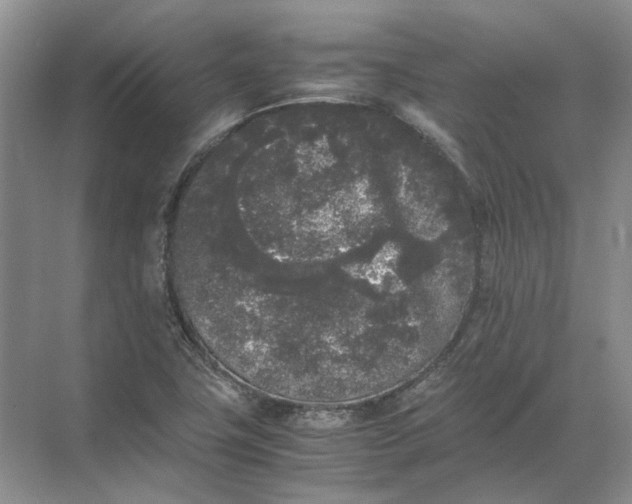 X0000072531411200607290212