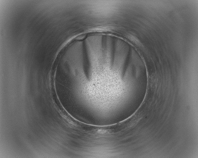 X0000072531412200607290212