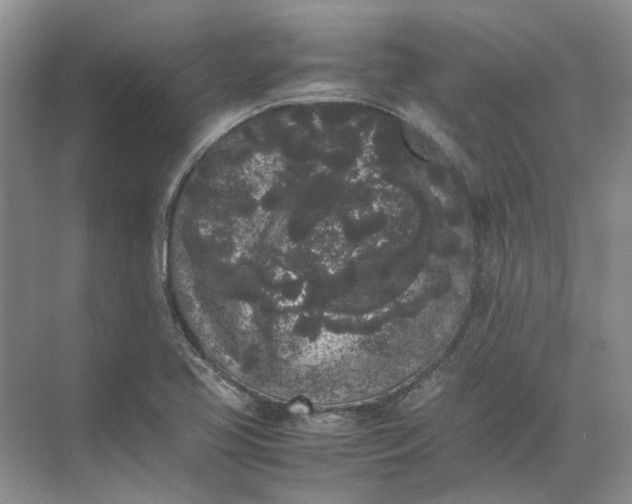 X0000072531413200607290212